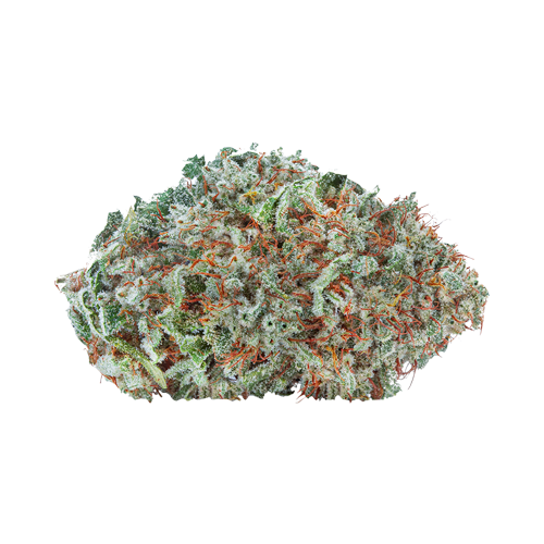 Highly Dutch Amsterdam Sativa - Image 2