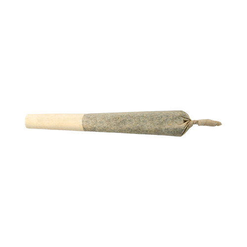 FIGR CBD Shark Pre-Roll - Image 2