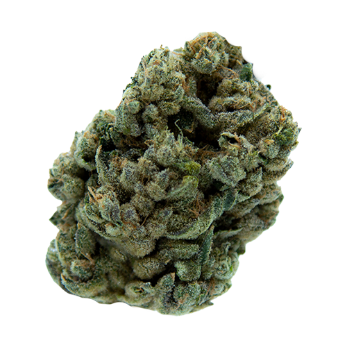 MTL Cannabis Jungl' Cake - Image 2