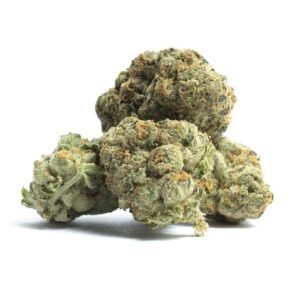 African Buzz Marijuana Strain