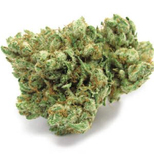 Bentley OG Cannabis Strain