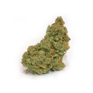 Berry Haze Marijuana Strain