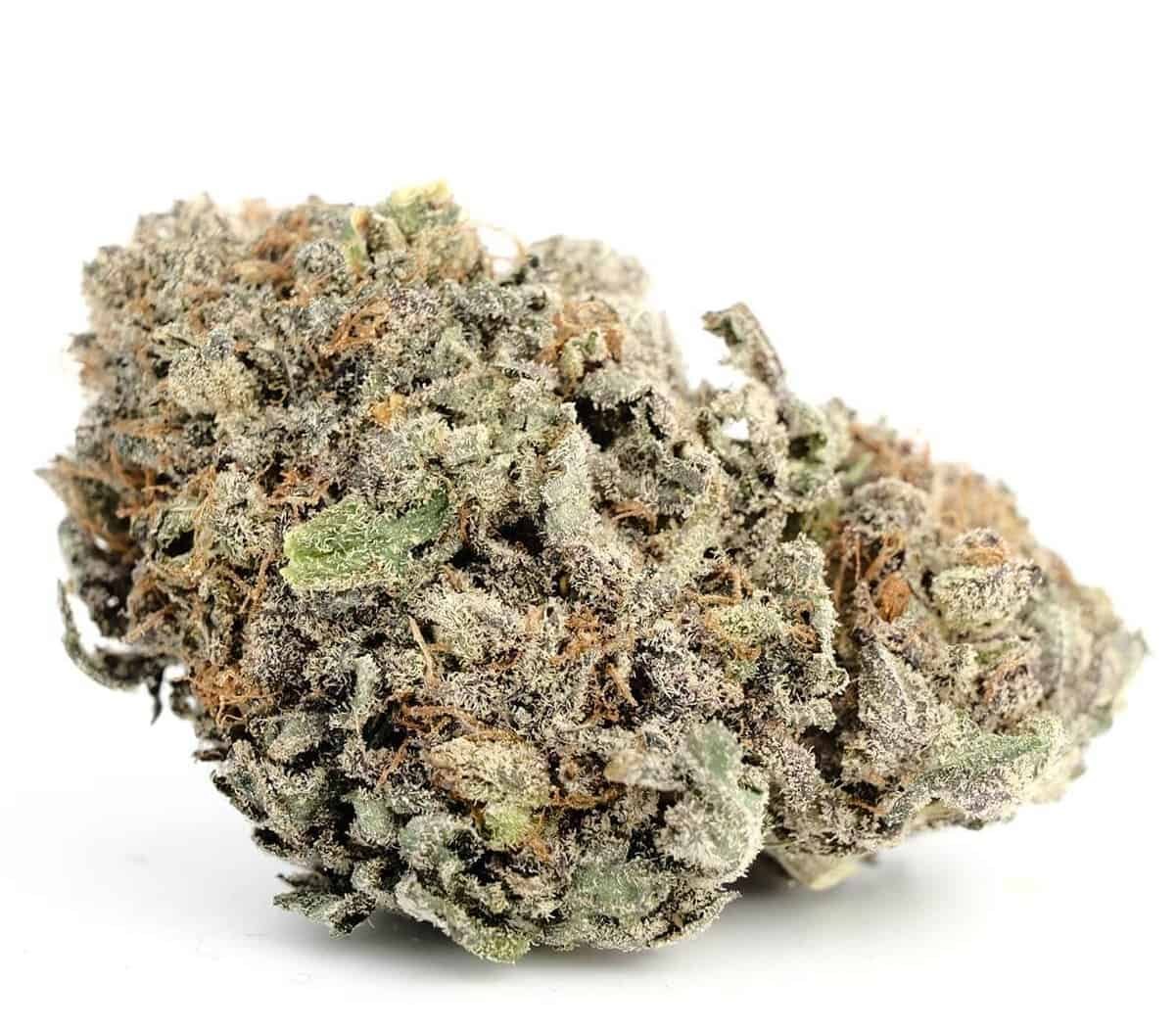 Blackberry Kush Marijuana Strain