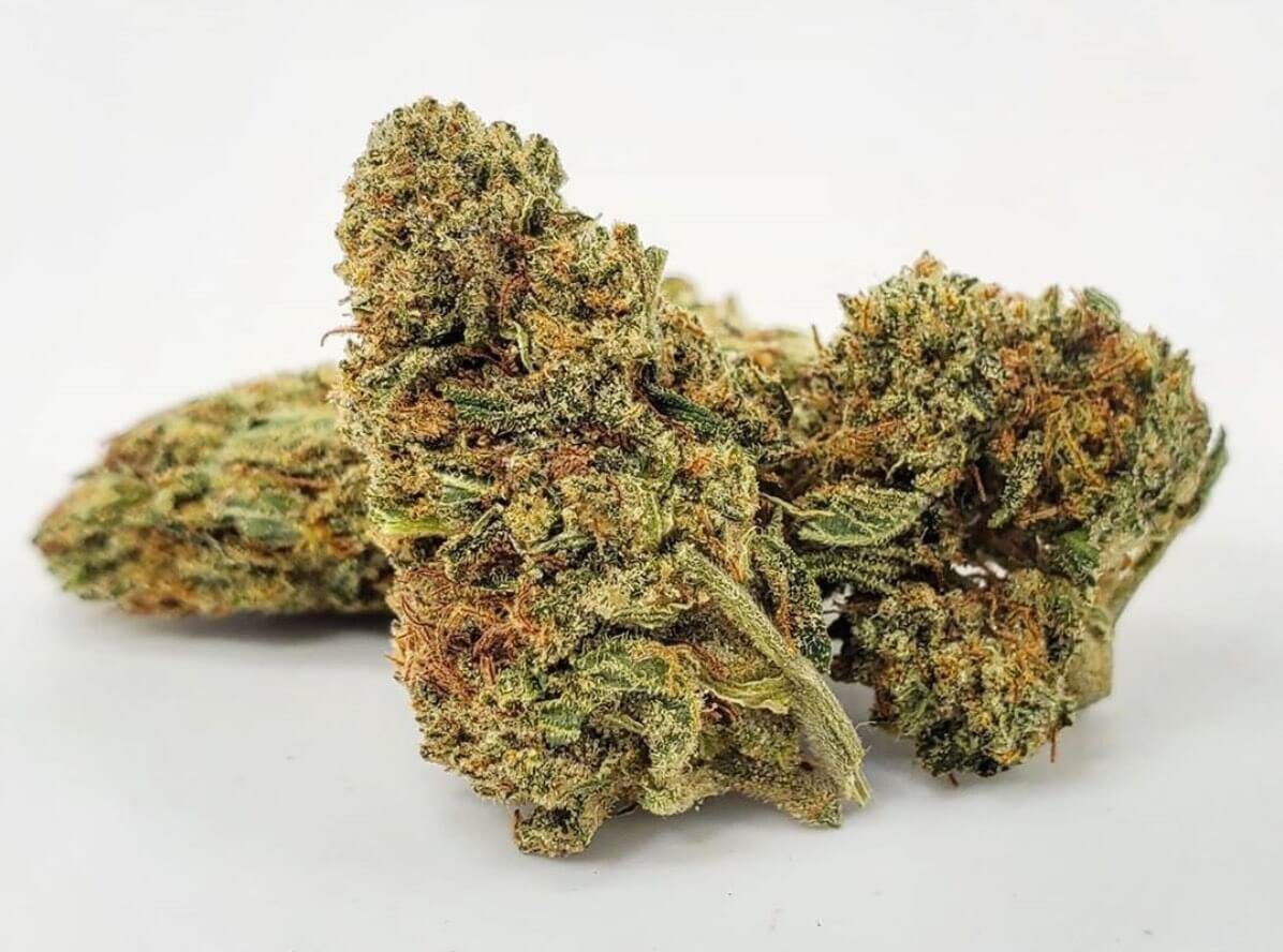 Bob Marley Marijuana Strain