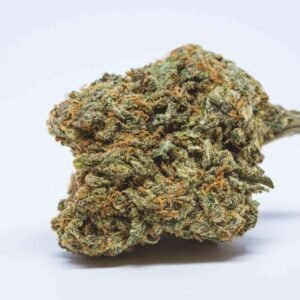 Cheese Cannabis Strain