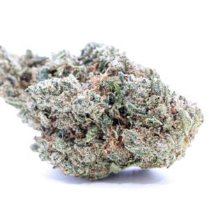 Chocolate OG Cannabis Strain