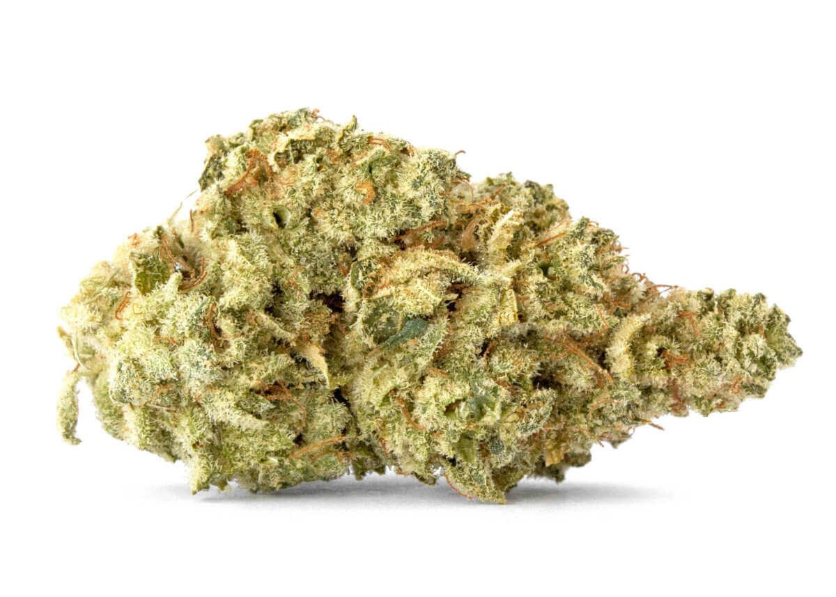 Columbian Gold Marijuana Strain