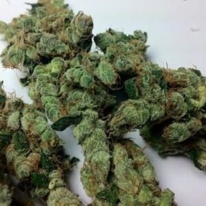 Dr. Grinspoon Marijuana Strain