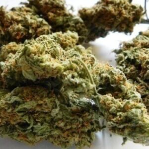 Easy Sativa Cannabis Strain