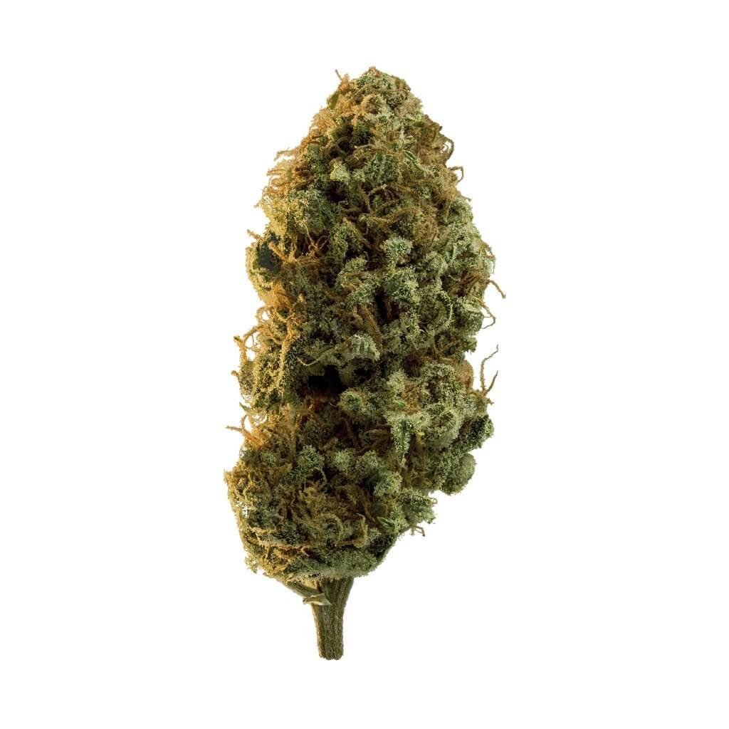 El Dorado Cannabis Strain