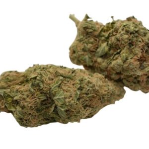 Elephant Stomper Weed Strain