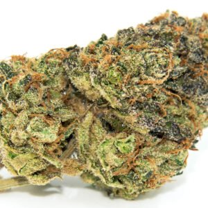 Gelato Cannabis Strain EU