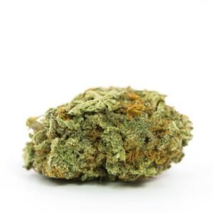 Girl Scout Cookies Marijuana Strain
