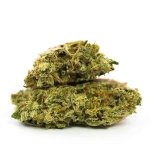 Hindu Kush Marijuana Strain EU