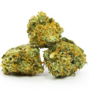 Hog Marijuana Strain