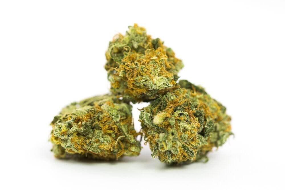 Hog Marijuana Strain