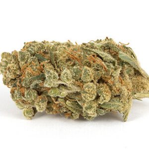 Holland Skunk Special Weed Strain