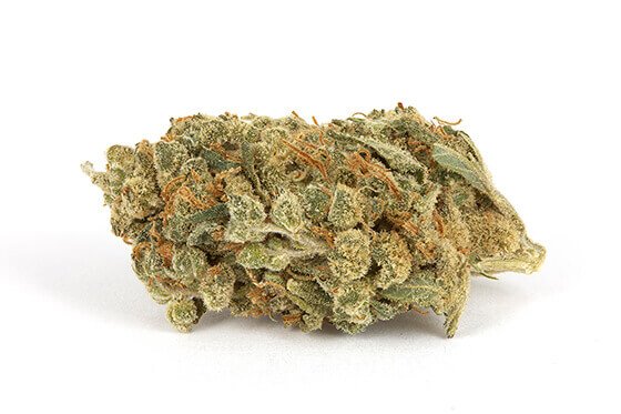 Holland Skunk Special Weed Strain