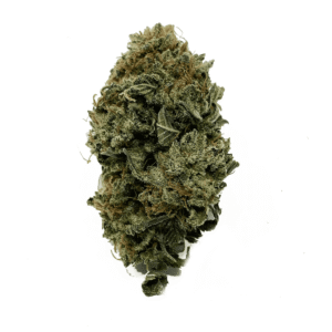 Juicy Wreck Weed Strain