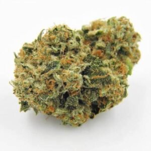 Kosher Kush Marijuana Strain EU