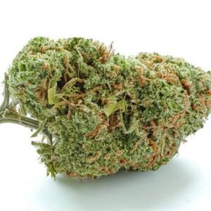 Lionheart Cannabis Strain