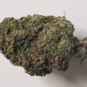 Malawi Marijuana Strain