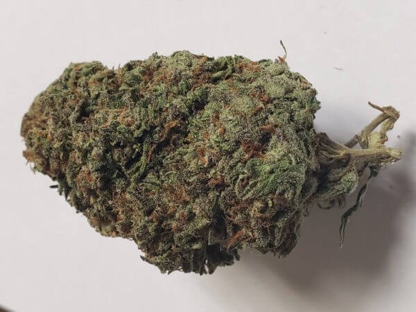 Malawi Marijuana Strain
