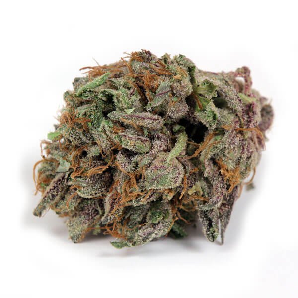 Master Kush Weed Strain