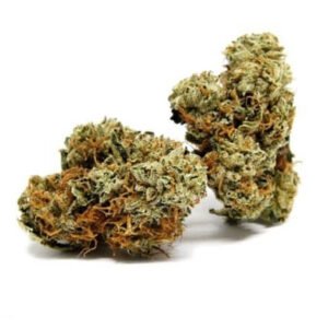 Maui Wowie Marijuana Strain EU