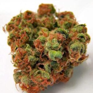 Panama Red Weed Strain