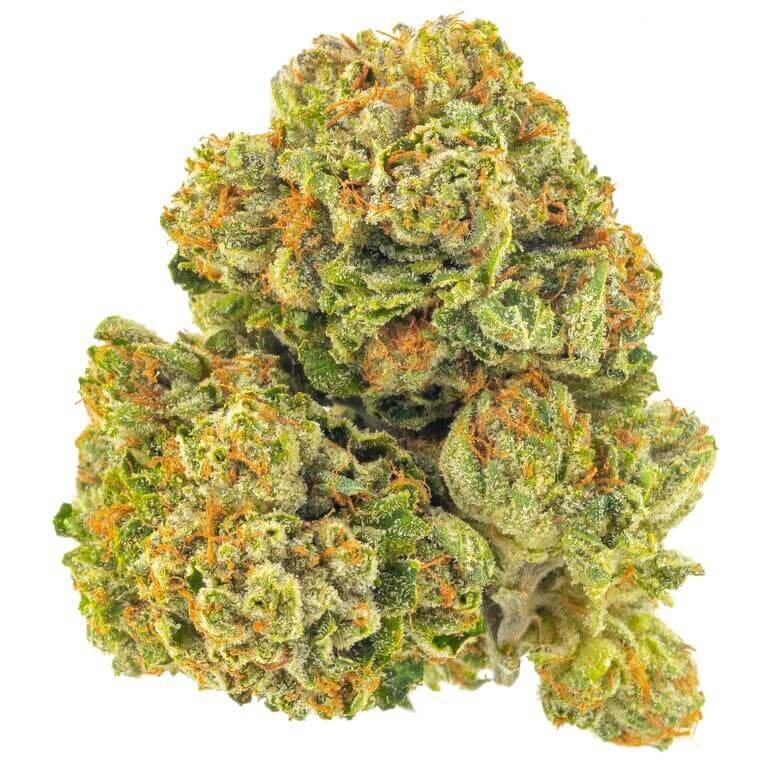 Paris OG Marijuana Strain