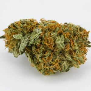 Poison Haze Marijuana Strain