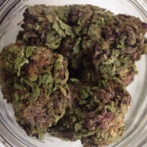 Purple Rhino Cannabis Strain