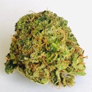 Ray Charles Marijuana Strain