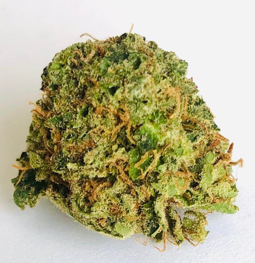Ray Charles Marijuana Strain