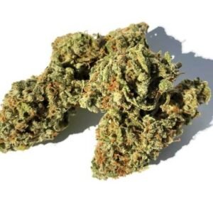 Skunk #1 Marijuana Strain EU