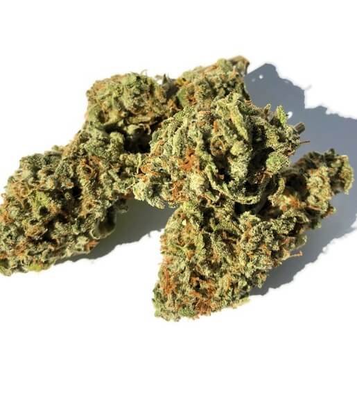 Skunk #1 Marijuana Strain EU