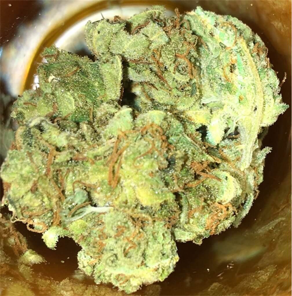 Sour Haze Cannabis Strain