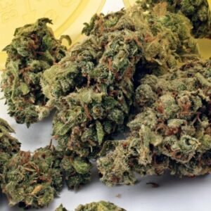 Super Jack Cannabis Strain