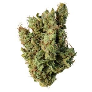 Super Silver Haze Marijuana Strain