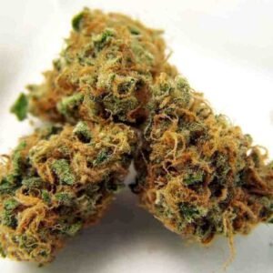Tangerine Sunrise Marijuana Strain
