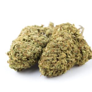 Wild Thailand Weed Strain