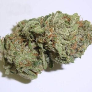 Williams Wonder Weed Strain